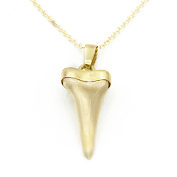 Authentic Shark Tooth Drop Pendant