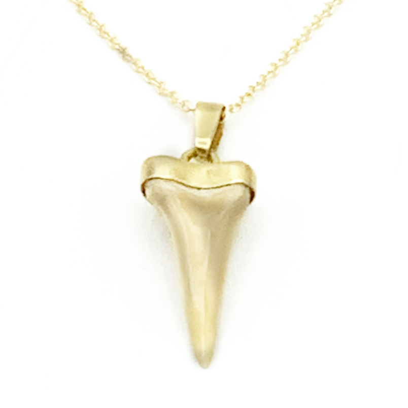 Authentic Shark Tooth Drop Pendant